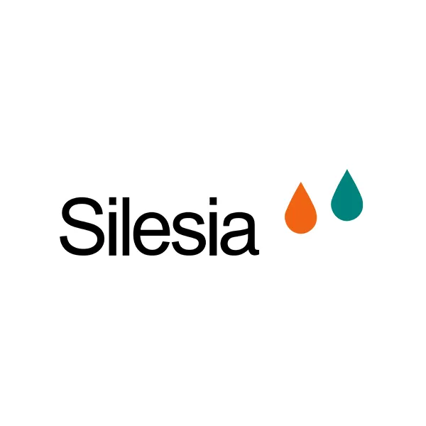 Logo Silesia